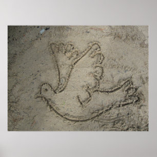 Pomba tirada no poster da areia