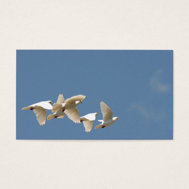 Pombas brancas voadoras (Frente)