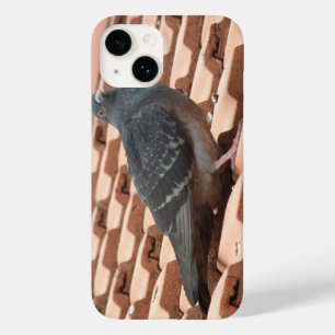 Pombo De Telhado