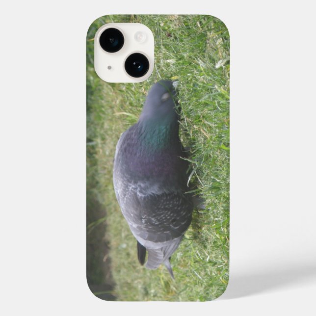 Pombo Dormindo (Verso)