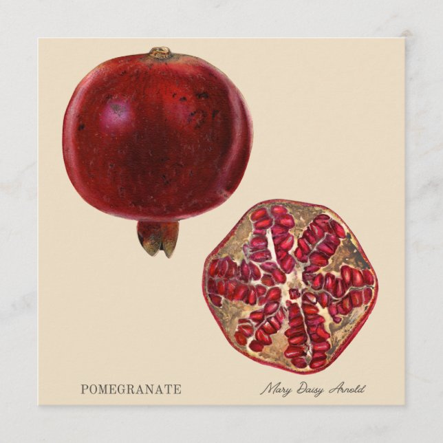 Pomegranate by Mary Daisy Arnold (Frente)