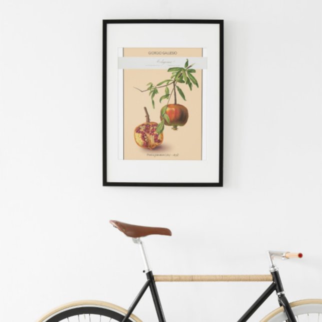 Pomegranato, Poster de Ilustração Botânica Vintage (Criador carregado)