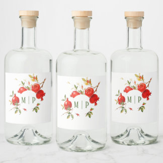 Pomegrancha tema aquarela Cores brilhantes