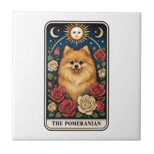 Pomerânia