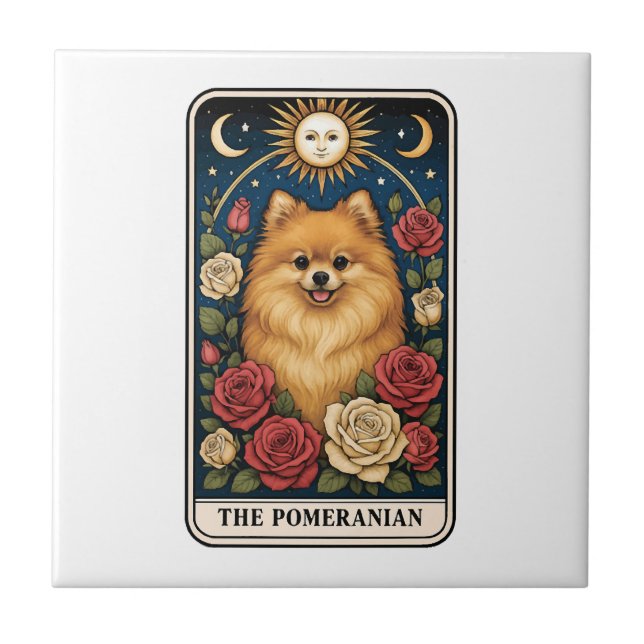 Pomerânia (Frente)