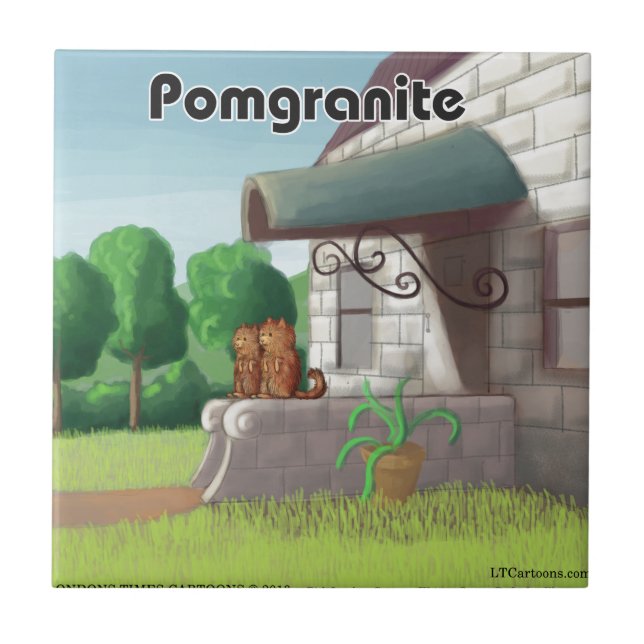 Pomerânia em Granito (Romã) Divertido (Frente)
