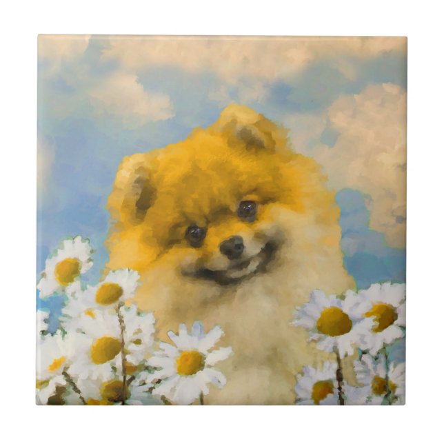 Pomerânia em Pintura de Dísias - Arte de Cachorro  (Frente)