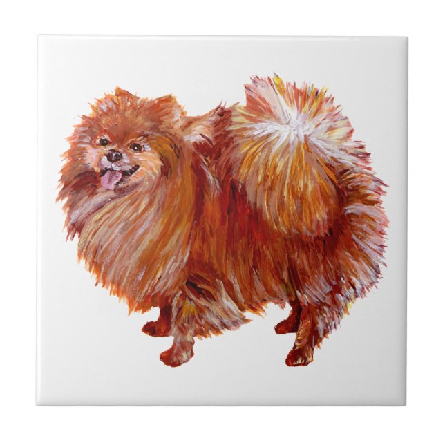 Pomerânia Vermelha (Frente)