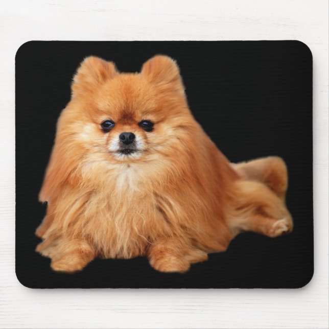 Pomeranian Mousepad (Frente)
