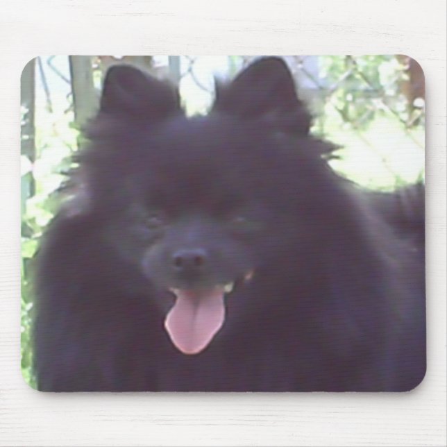 Pomeranian preto Mousepad (Frente)