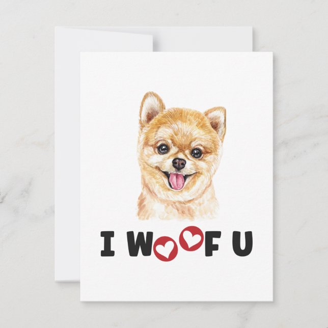 Pomeraniana Pom Dog I Te Aluguei (Frente)