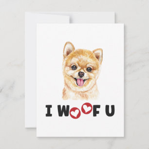 Pomeraniana Pom Dog I Te Aluguei