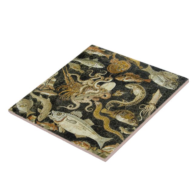 Pompeii Roman Marine Creatures Cerâmica Azulejo (Lateral)