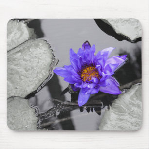Pond de Nenúfar Mouse Pad