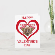 Pônei Bonito em Cartões do Dia dos Namorados Verme