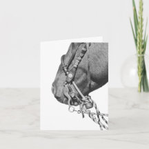 Pónei em Two Rein - Cartão de notas 4" x 5.6"