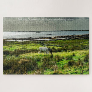 Pôneis Connemara Galway Irlanda. Quebra-cabeça