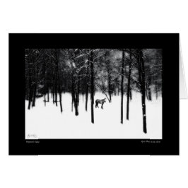 Pôneo Espírito no Cartão Mista