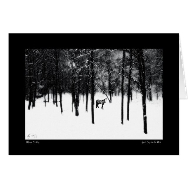 Pôneo Espírito no Cartão Mista (Frente Horizontal)