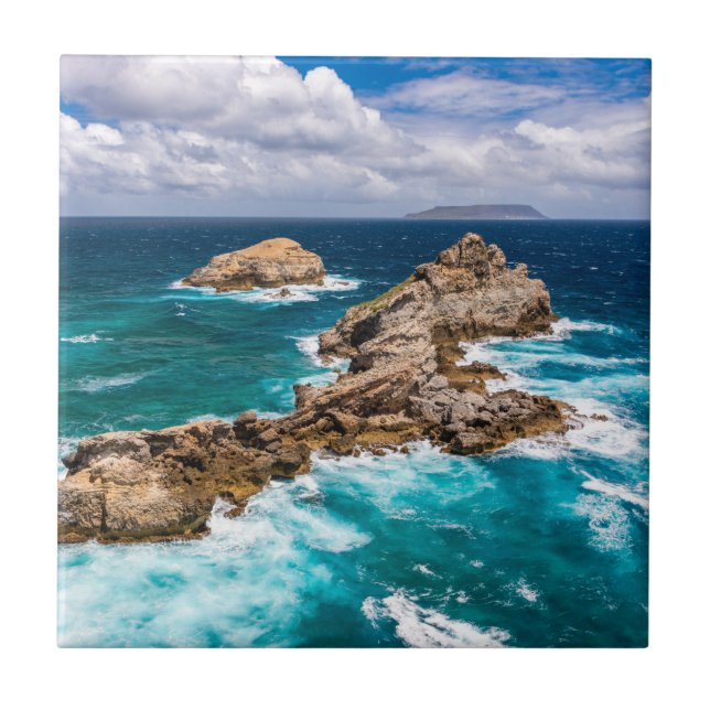 Ponta de Chateaux, Grande-Terre, Guadalupe #2 (Frente)