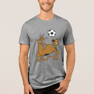 Pontapé aéreo do futebol de Scooby-Doo