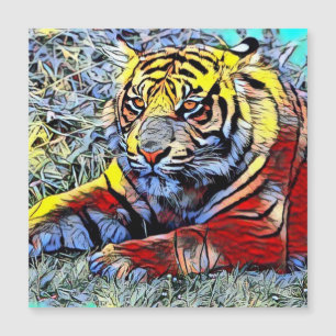 Pontapé da cor - tigre 2