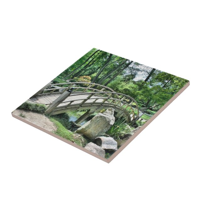 Ponte arco japonesa (Lateral)