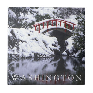 Ponte da Lua e Lagoa no Inverno Seattle, Washing