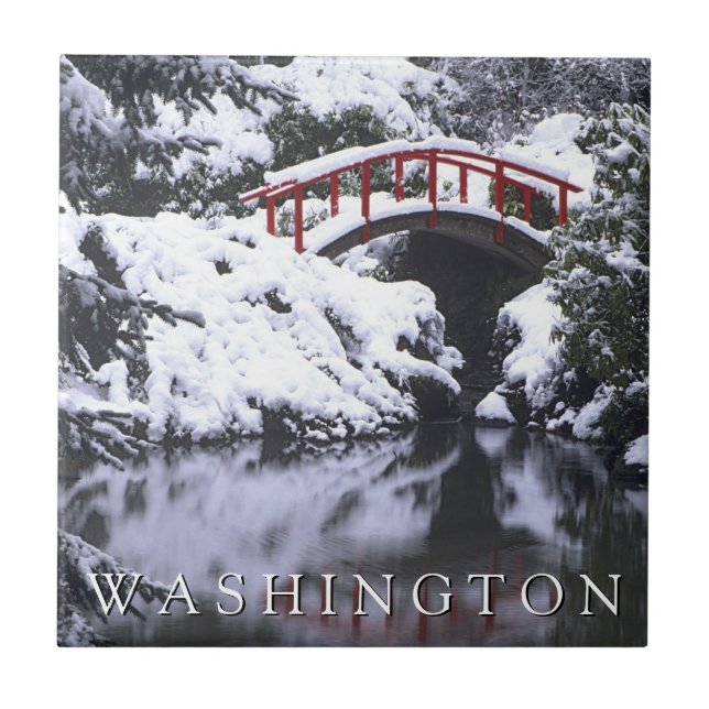 Ponte da Lua e Lagoa no Inverno | Seattle, Washing (Frente)