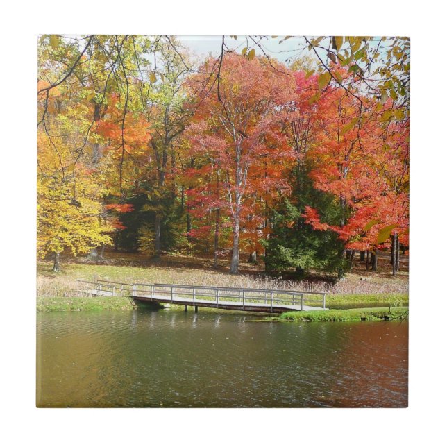 Ponte da Seven Springs Fall III Paisagem de Outono (Frente)