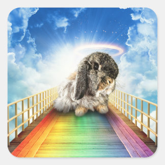 Ponte de muitos adesivos de cores