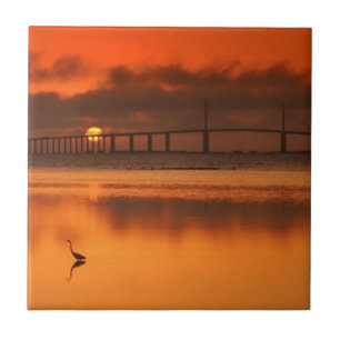 Ponte de Skyway