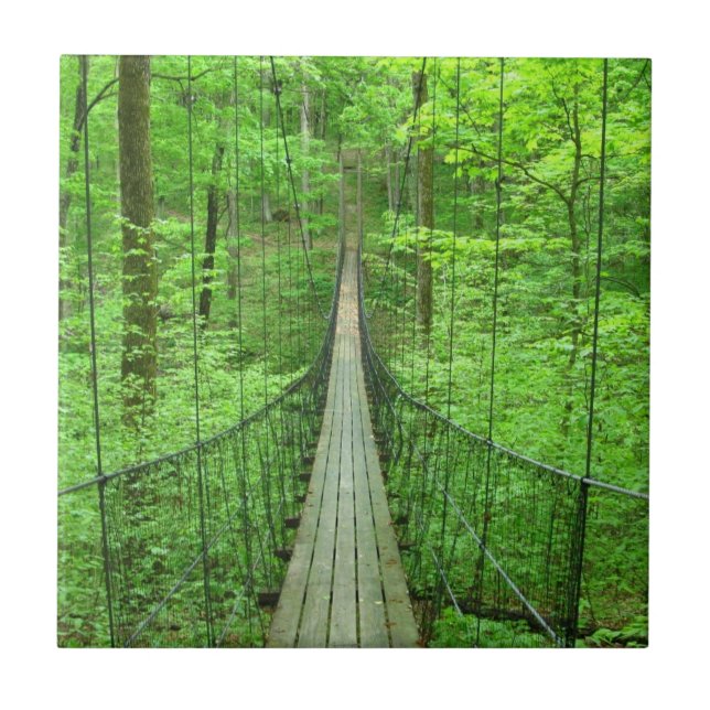 Ponte de suspensão (Frente)