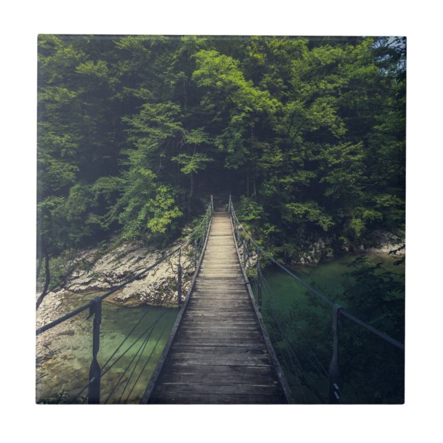 Ponte de suspensão simples rio Idrijca, Eslovênia (Frente)