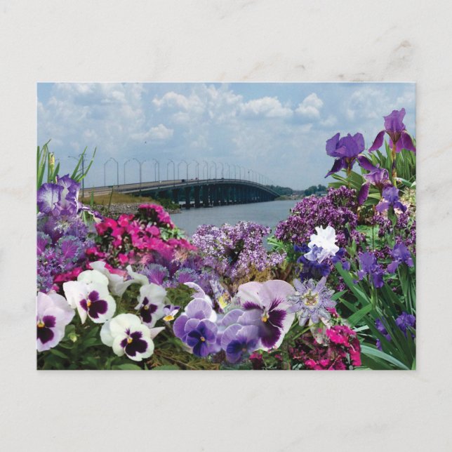 Ponte de veleiro e flores 15r1 cartão postal (Frente)