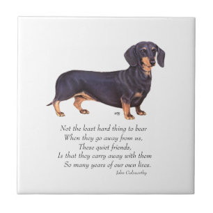 Ponte do Arco-íris do Dachshund