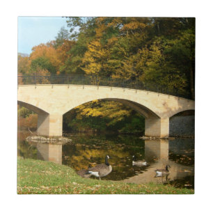 Ponte do arco-íris em queda livre no Grove City C