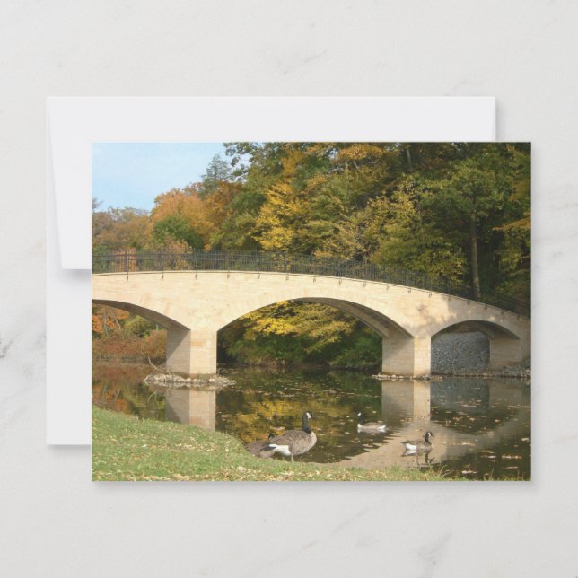 Ponte do arco-íris em queda livre no Grove City Co (Frente)