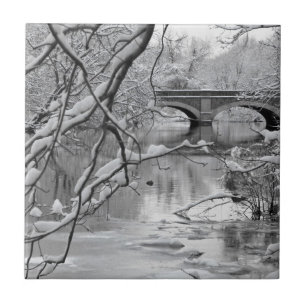 Ponte do arco sobre o rio congelado no inverno