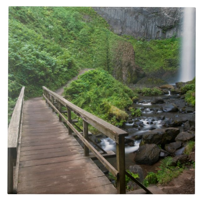 Ponte em Latourell Falls, Columbia River Gorge, (Frente)