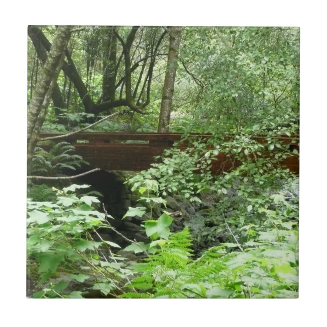 Ponte Muir Woods I (Frente)