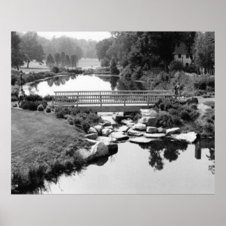 Ponte na Impressão CT