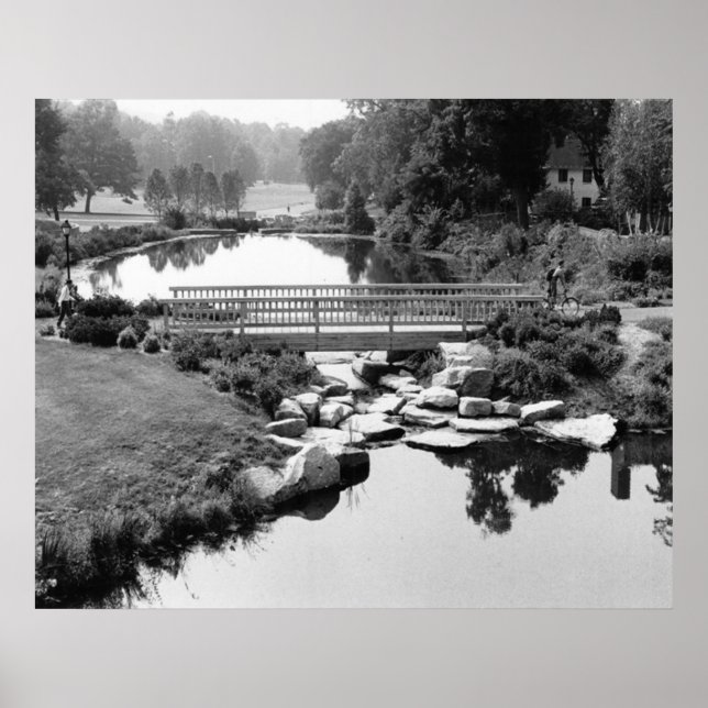 Ponte na Impressão CT (Frente)