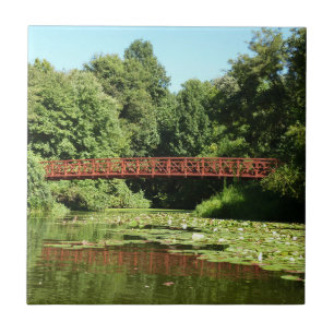 Ponte no lago Centenário na cidade de Ellicott