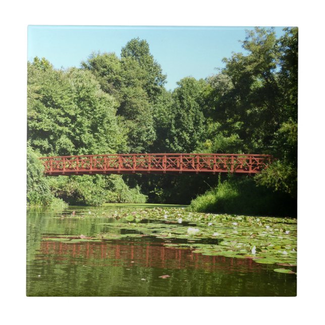 Ponte no lago Centenário na cidade de Ellicott (Frente)