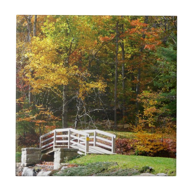 Ponte Seven Springs Fall I Paisagem de Outono (Frente)