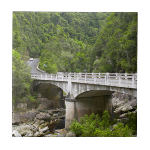 Ponte Sobre Córrego, Parque Nacional Tsitsikamma