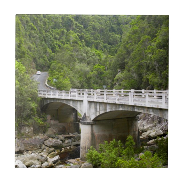 Ponte Sobre Córrego, Parque Nacional Tsitsikamma (Frente)