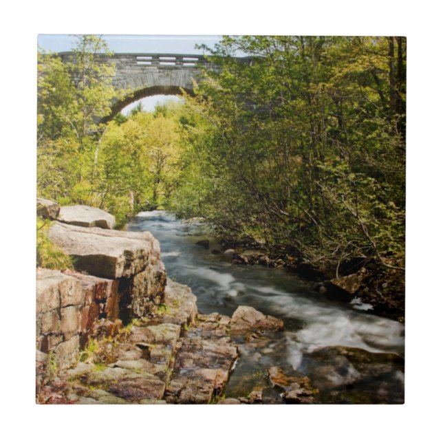 Ponte sobre o rio (Frente)