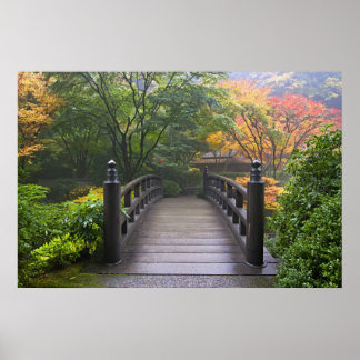 Ponte Wooden no Poster do Jardim Japonês